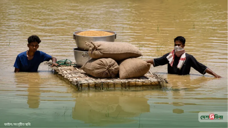২৪ ঘণ্টায় ২১ প্রাণহানি! আসামে প্রকৃতির মহাপ্রলয়, ১৬ জেলায় ৫ লাখ মানুষ পানিবন্দী