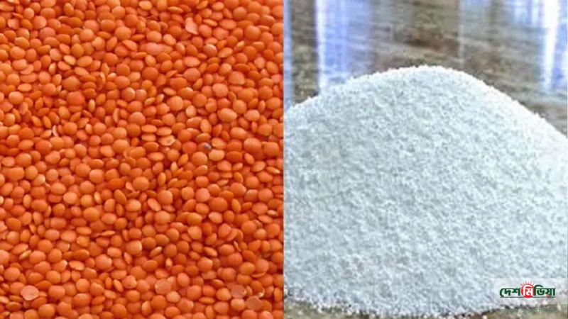 সার-ডাল কিনতে সরকারের বড় অঙ্কের অনুমোদন