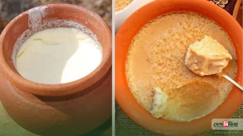দইয়ে চিনি, প্রোবায়োটিক নিয়ে আসল সত্য