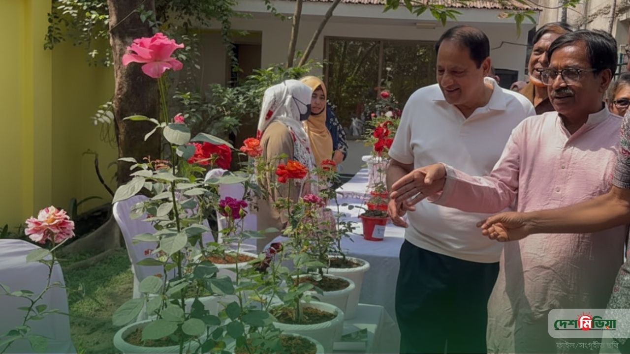 বাহারি গোলাপের মেলায় রঙিন কুমিল্লা: দেশি-বিদেশি প্রজাতির অনন্য প্রদর্শনীতে মুগ্ধ দর্শনার্থী