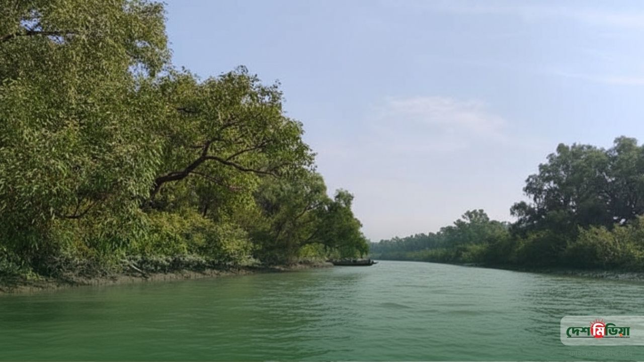 দুই মাসের স্তব্ধতা ভেঙে জেগে উঠেছে উপকূল: সুন্দরবনে শুরু কাঁকড়া আহরণ, জেলেদের চোখে স্বস্তির জল