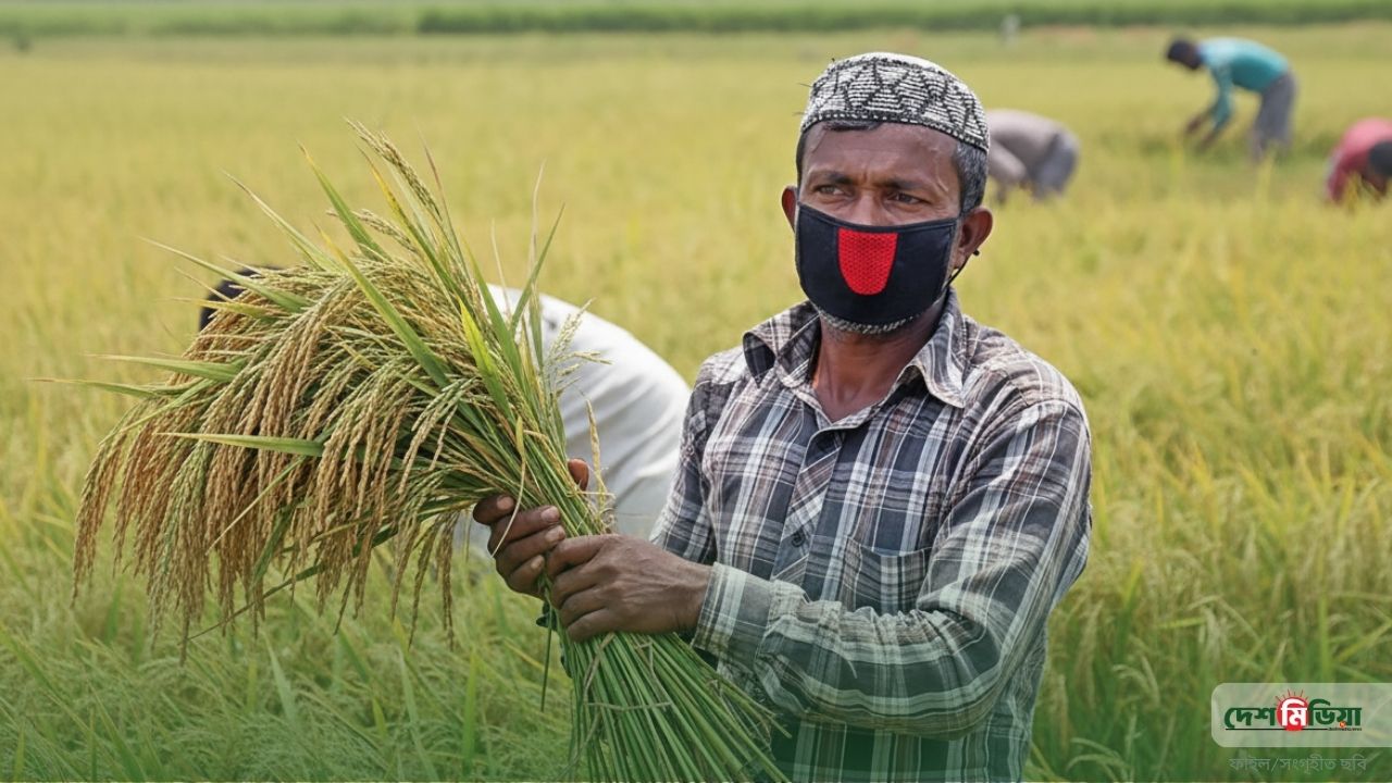 ঋণ শোধের চাপ থেকে চিরতরে মুক্তি পাচ্ছেন ১৩ লাখ কৃষক! তবে অর্থ ছাড়ের আগে কেন 'অডিট' বা নিরীক্ষার কড়াকড়ি?