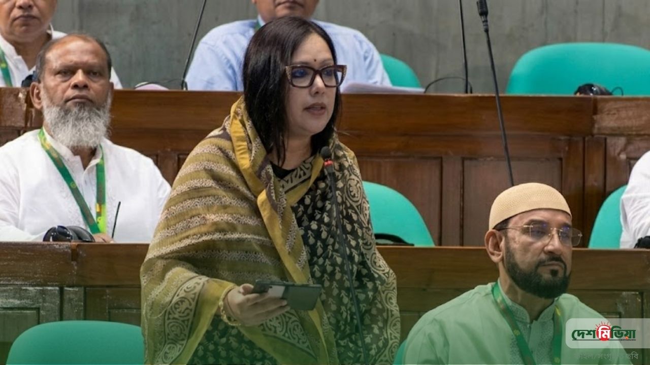 ১০ কোটির ভবন পরিত্যক্ত, ৬৪ পদ শূন্য; সরাইল হাসপাতালের বেহাল দশা তুলে ধরলেন রুমিন ফারহানা