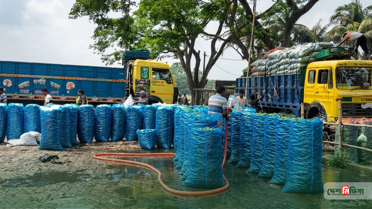 জ্বালানি তেলের উত্তাপ এখন কাঁচাবাজারে: রাজশাহী থেকে সবজি পরিবহনে ভাড়া বাড়ল ৫ হাজার টাকা